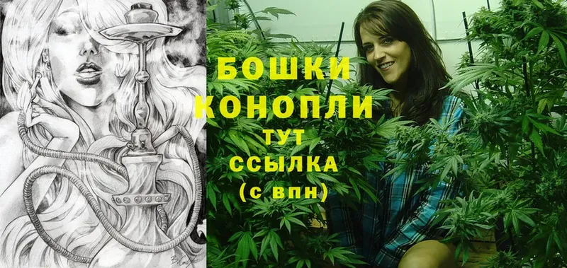 продажа наркотиков  Саранск  Марихуана OG Kush 